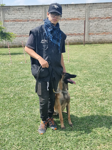 Aranda's Dogs Training +Equipment