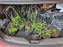 Khách Sạn Đức Long Gia Lai 2