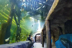 Daejeon Aquarium image