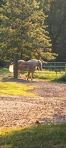 Farm «B & B Flower Farm», reviews and photos, 668 Jones Hill Rd, West Haven, CT 06516, USA