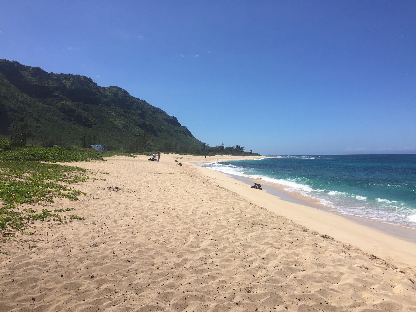 Photo of Mokulē‘ia Army Beach wild area