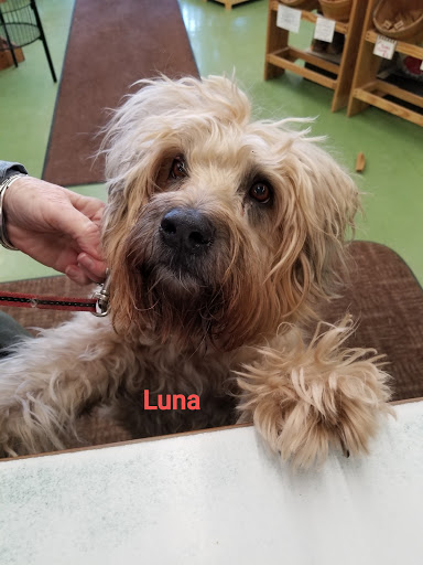 Pet Supply Store «Animal Krackers Inc», reviews and photos, 232 Main St, Gloucester, MA 01930, USA