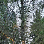 Photo n°3 de l'avis de Floriana.d fait le 24/06/2023 à 19:50 sur le  Linta Hotel Wellness & Spa à Asiago