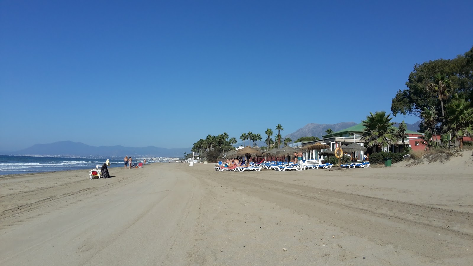 Foto van Playa del Rosario met groen water oppervlakte