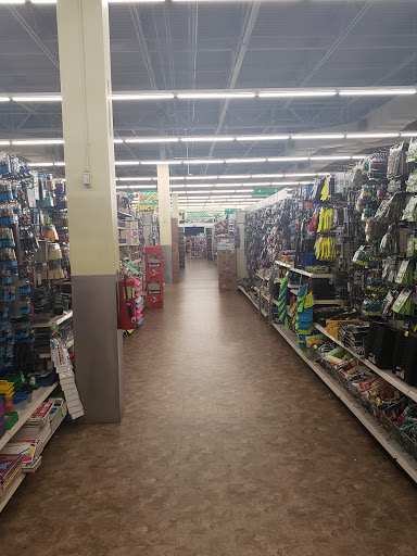 Dollar Store «Dollar Tree», reviews and photos, 945 FL-436 #1145, Altamonte Springs, FL 32714, USA