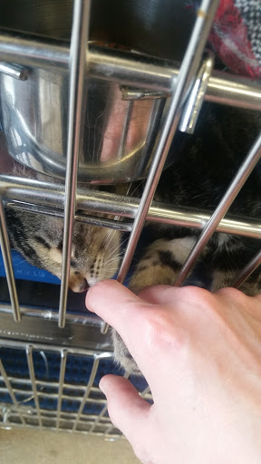 Pet Supply Store «Petsense Fort Worth», reviews and photos, 1408 Eastchase Pkwy #100, Fort Worth, TX 76120, USA