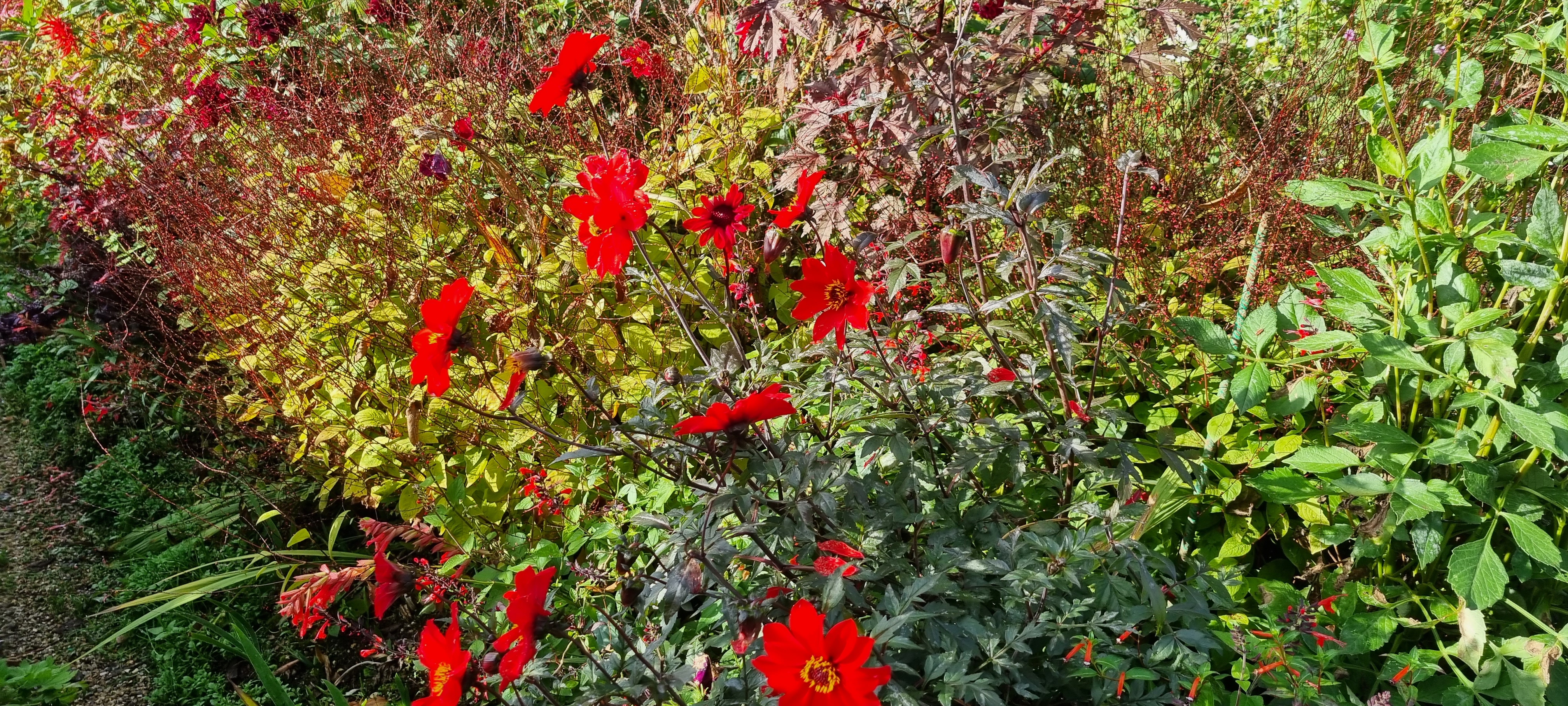 Photo n° 43 de l'avis de lemagicien40. fait le 03/11/2023 à 07:28