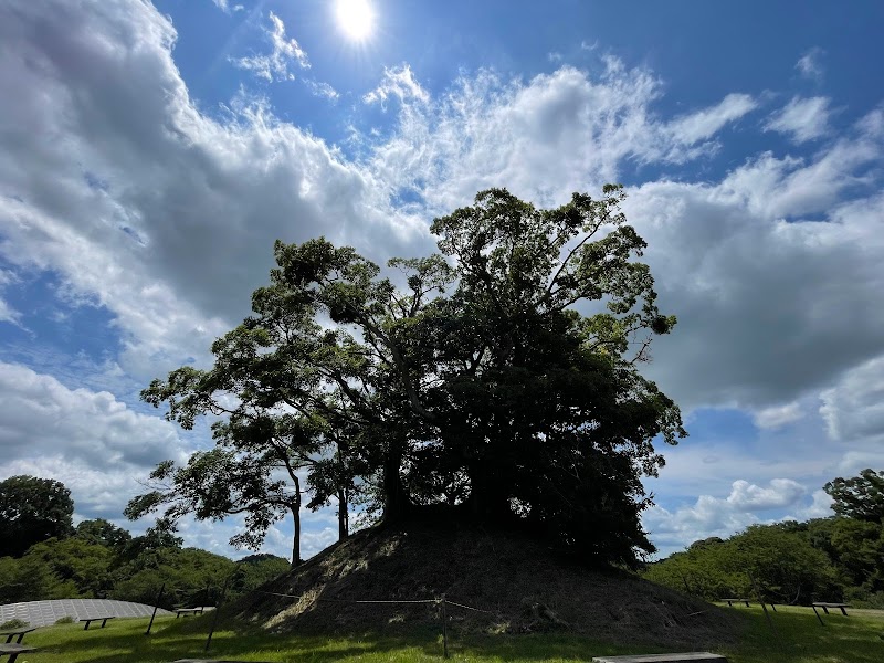 花木・果樹園