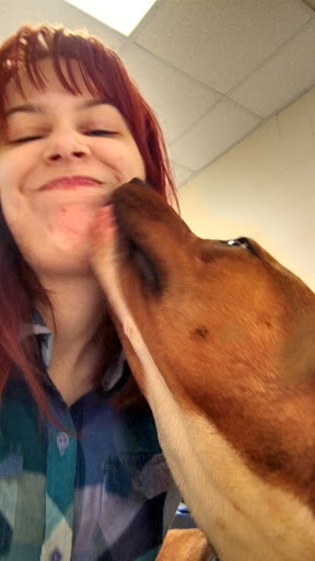 Pet Groomer «A Klassy Lassie, LLC», reviews and photos, 30 Old Jackson Rd, McDonough, GA 30252, USA