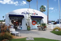 Muttropolis Solana Beach - Photo 5 - Car repair in Solana Beach, CA, San Diego