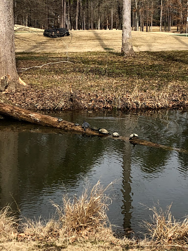 Golf Course «Lochmere Golf Club», reviews and photos, 2511 Kildaire Farm Rd, Cary, NC 27518, USA