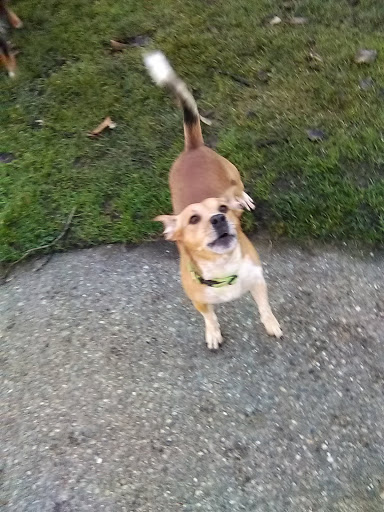 Park «Ravenna Park», reviews and photos, 5520 Ravenna Ave NE, Seattle, WA 98105, USA