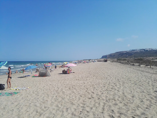 Playa del Carabassi