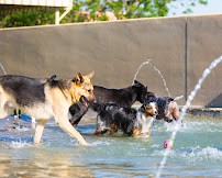 Elaine's Pet Resorts - Photo 2 - Car repair in Madera, CA, Fresno