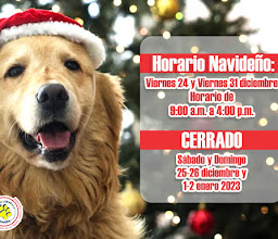 Plaza Estrella photo