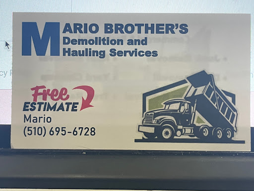 Mario Brothers Demolition and Hauling Services