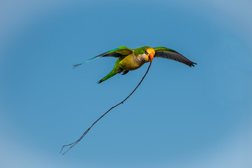 Park «Seamans Neck Park», reviews and photos, 2700 S Seamans Neck Rd, Seaford, NY 11783, USA