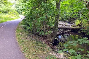 Des Moines Creek Trail image