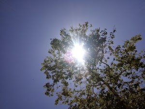 Mast Park Parking Lot - photo 63