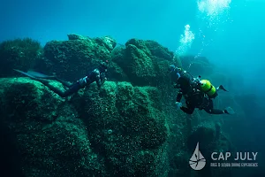 Cape July | Diving Sous-Marine & Apnée image
