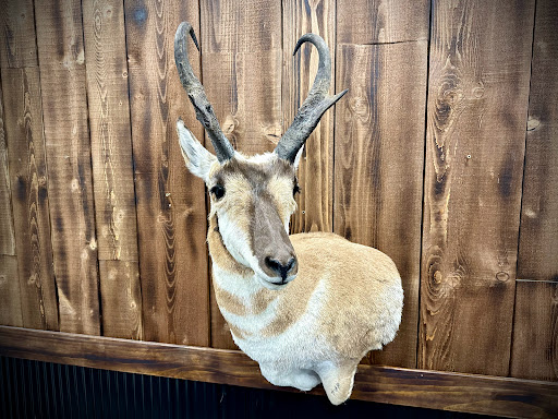 Cantrall Taxidermy