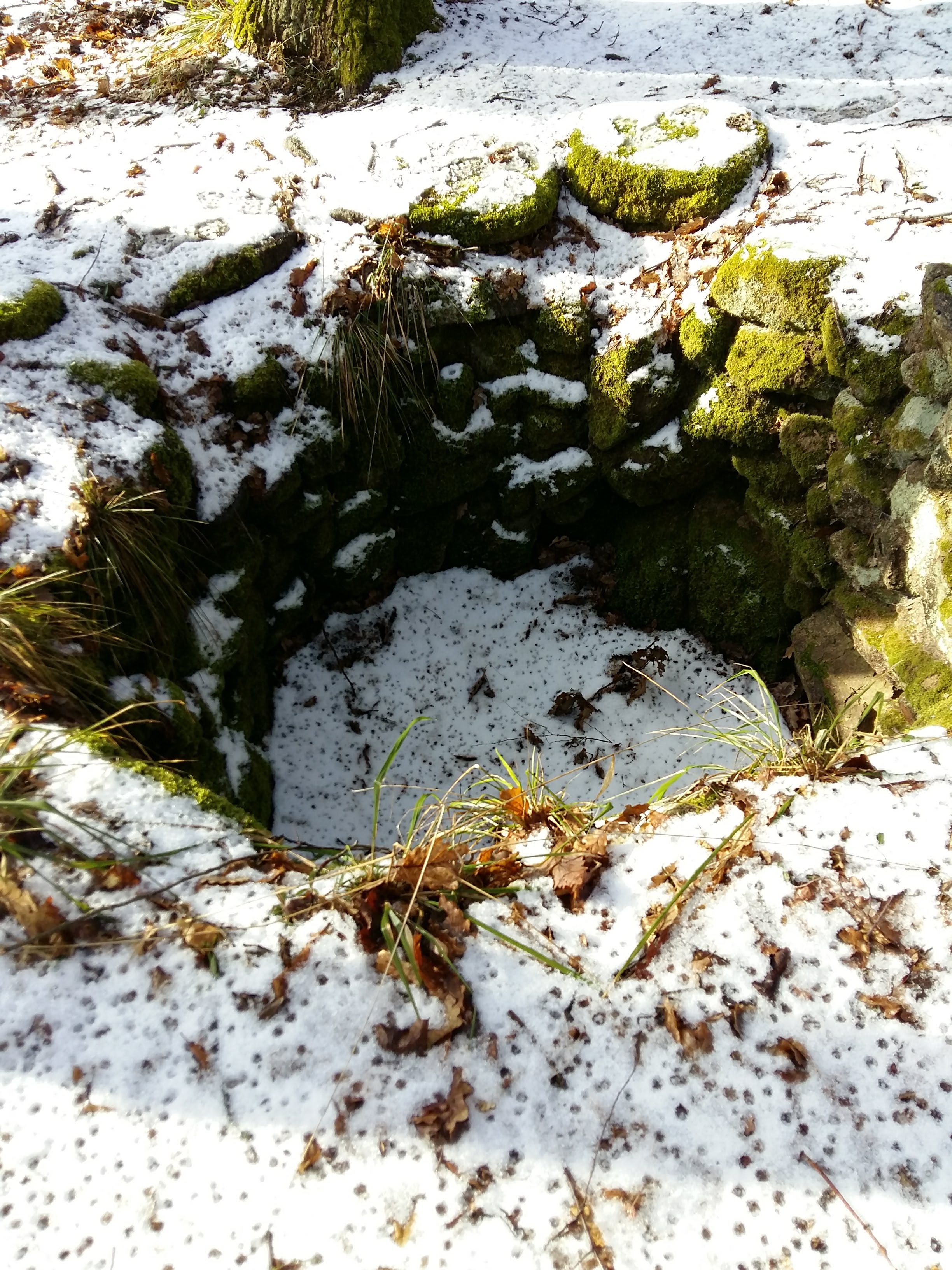 Photo n° 12 de l'avis de Marie-Laure.e fait le 05/03/2018 à 17:48