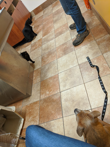 Pet Supply Store «PetSmart», reviews and photos, 139 Rolling Hills Cir, Easley, SC 29640, USA