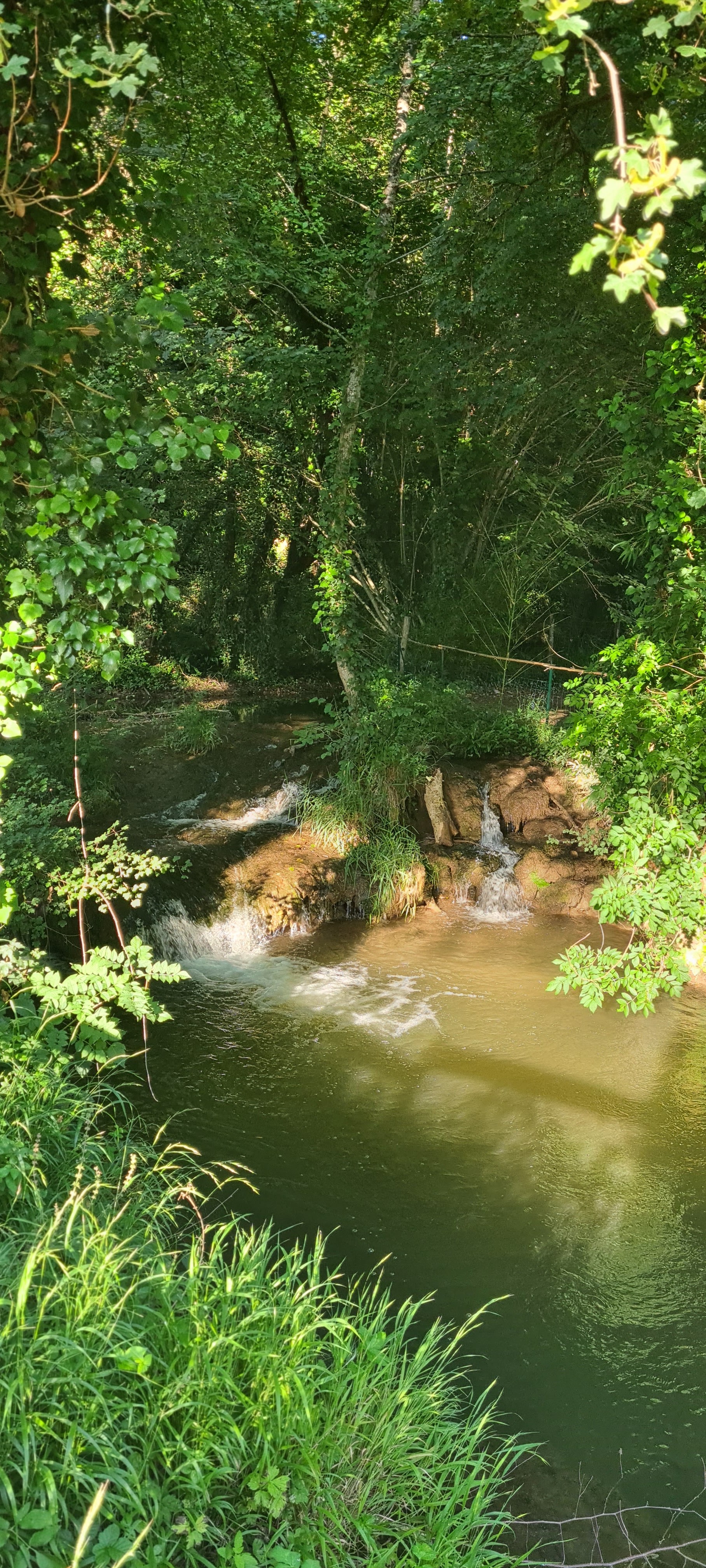 Photo n° 6 de l'avis de Sandrine.u fait le 06/07/2022 à 19:32