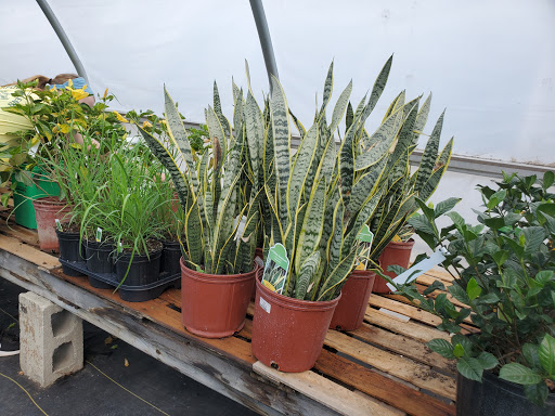 Garden Center «Beachside Gardens & Gifts», reviews and photos, 3725 US-12, Michigan City, IN 46360, USA