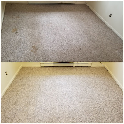 Raleigh Chem-Dry Carpet Cleaning