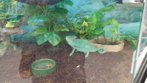 Pet Supply Store «Petco Animal Supplies», reviews and photos, 6425 Keizer Station Blvd, Keizer, OR 97303, USA