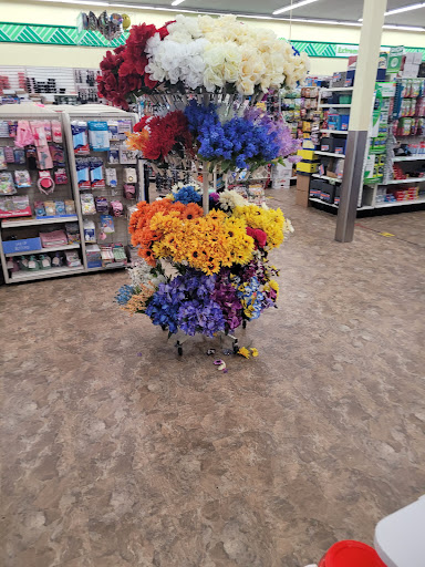 Dollar Store «Dollar Tree», reviews and photos, 410 2nd St Pike, Southampton, PA 18966, USA