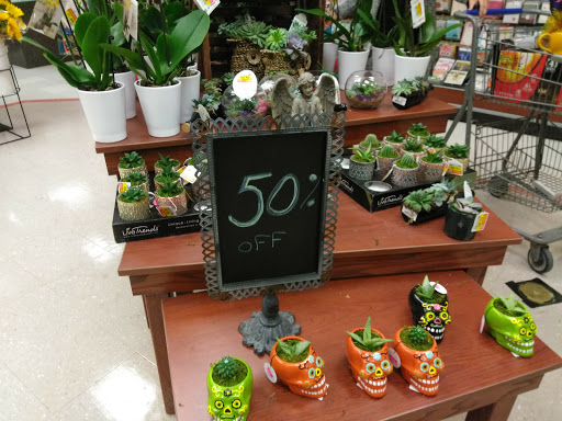 Dollar Store «Dollar Tree», reviews and photos, 5918 Middlebelt Rd, Garden City, MI 48135, USA