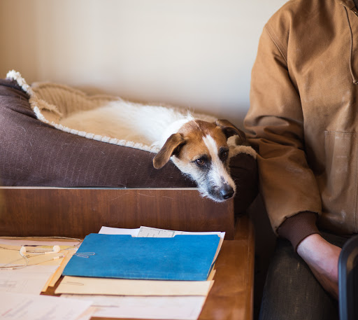 Cabinet Maker «Dean Cabinetry», reviews and photos, 263 Boston Turnpike, Bolton, CT 06043, USA