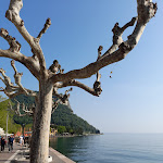 Photo n°6 de l'avis de Cristina.o fait le 13/04/2024 à 07:02 sur le  Sky Pool Hotel Sole Garda à Garda