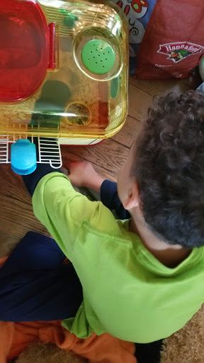 Pet Supply Store «PetSmart», reviews and photos, 700 Gallery Blvd b, Scarborough, ME 04074, USA