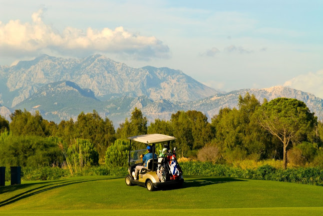 Reviews of GolfKings in Glasgow - Travel Agency