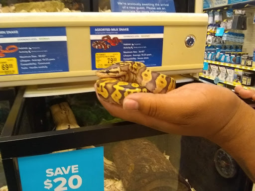 Pet Supply Store «PetSmart», reviews and photos, 6046 Marsha Sharp Fwy, Lubbock, TX 79407, USA