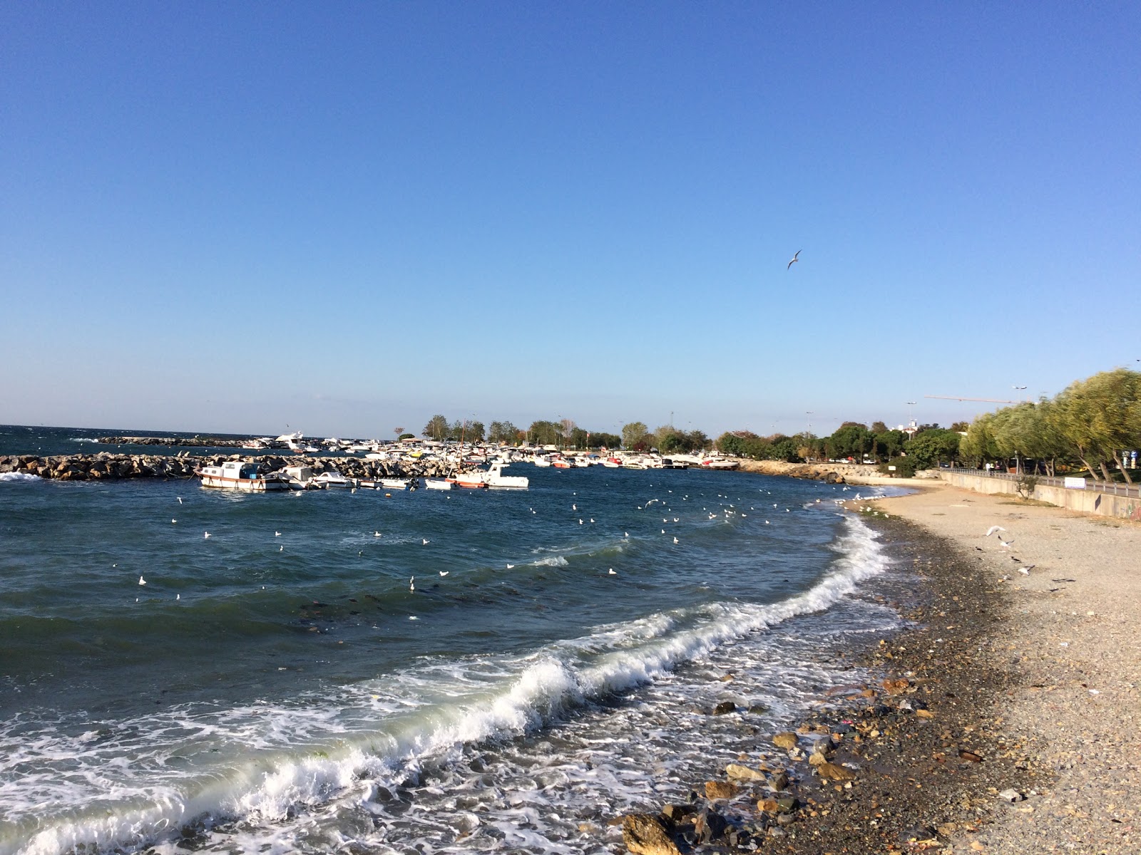 Photo de Atarli Beach et le règlement