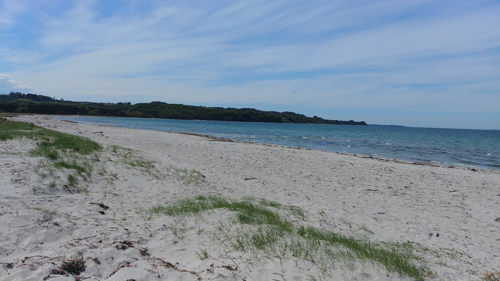 Foto van Hove Beach wilde omgeving