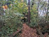 Homewood Park