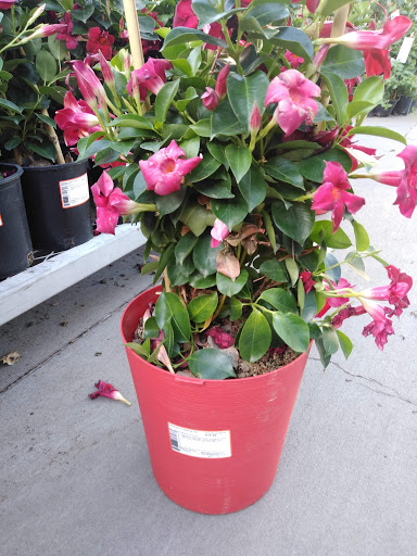 Home Improvement Store «The Home Depot», reviews and photos, 5010 Feather River Dr, Stockton, CA 95219, USA