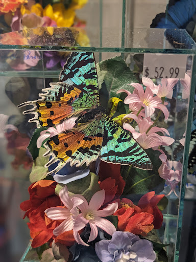 Florist «Garden Fantasy on Main», reviews and photos, 210 Main St, Belleville, MI 48111, USA