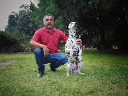 Adiestramiento Canino Juan Hernandez