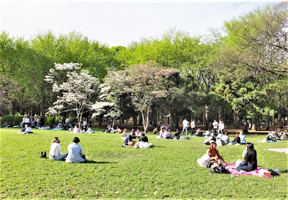 代々木公園 パノラマ広場