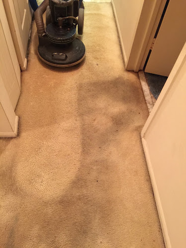 Clean Shag carpet cleaning