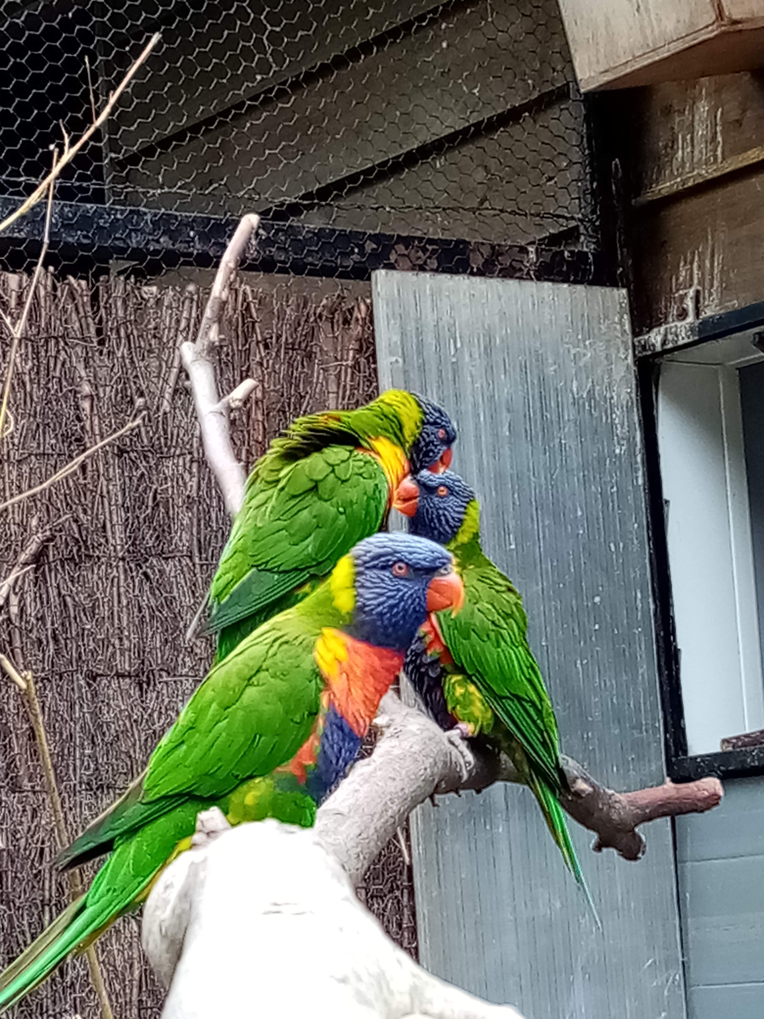 Photo n° 12 de l'avis de Marielaure.a fait le 25/07/2023 à 19:08