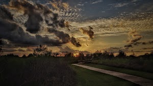 Shadow Creek Ranch Nature Trail - photo 20
