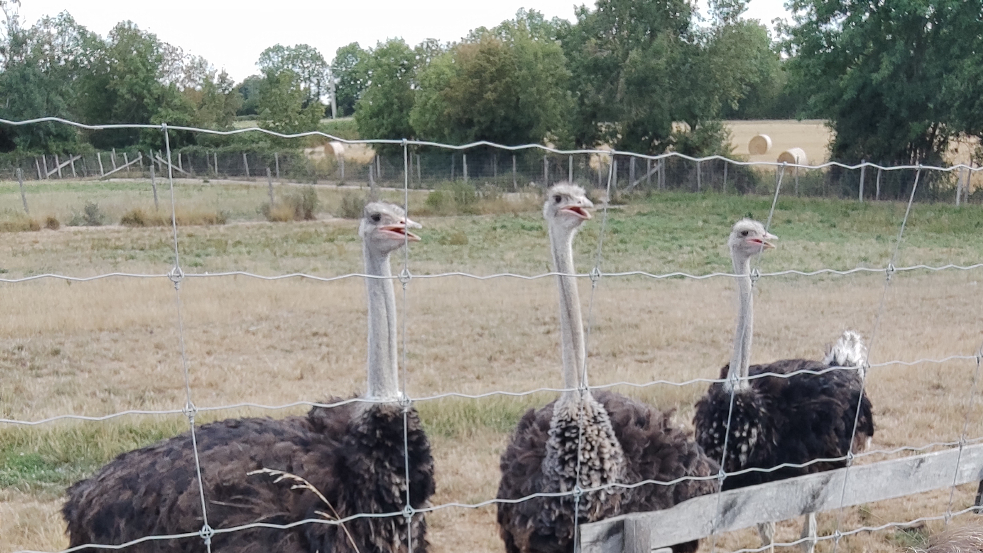 Photo n° 1 de l'avis de Valerie.a fait le 04/08/2022 à 20:49