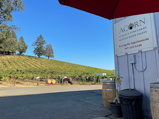 Winery «ACORN Winery/Alegria Vineyards», reviews and photos, 12040 Old Redwood Hwy, Healdsburg, CA 95448, USA